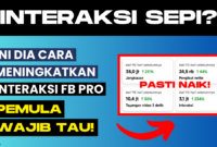 Cara Meningkatkan Interaksi Facebook Pro Mudah Bagi Pemula